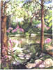 summerpond2